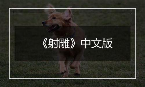 《射雕》中文版最新版