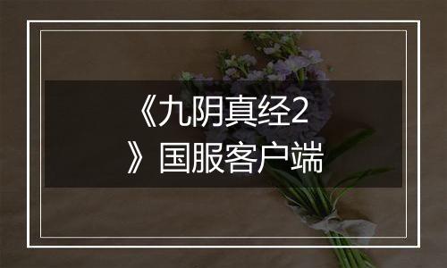 《九阴真经2》国服客户端最新版