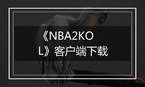 《NBA2KOL》客户端下载最新版