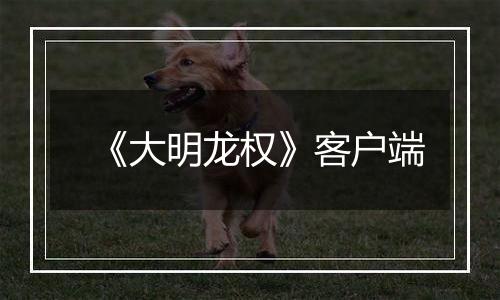 《大明龙权》客户端最新版