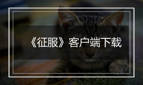 《征服》客户端下载最新版