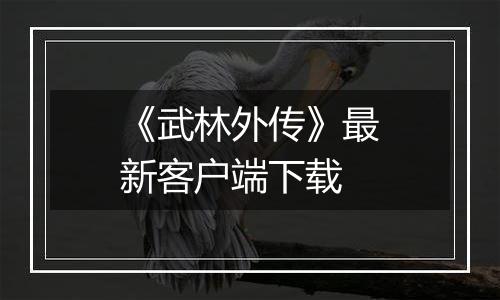 《武林外传》最新客户端下载