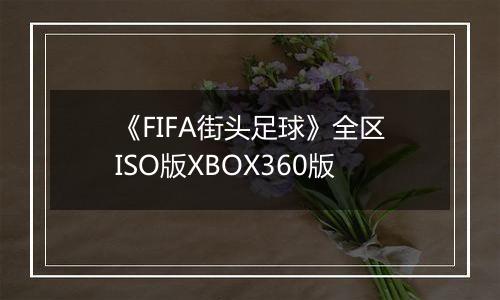 《FIFA街头足球》全区ISO版XBOX360版