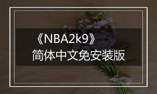 《NBA2k9》简体中文免安装版