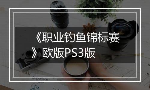 《职业钓鱼锦标赛》欧版PS3版