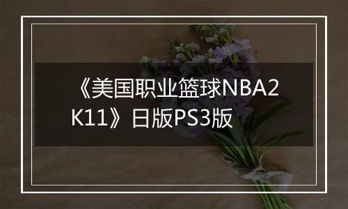 《美国职业篮球NBA2K11》日版PS3版