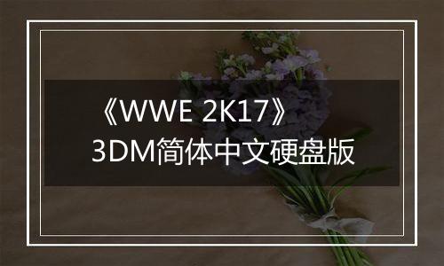《WWE 2K17》3DM简体中文硬盘版