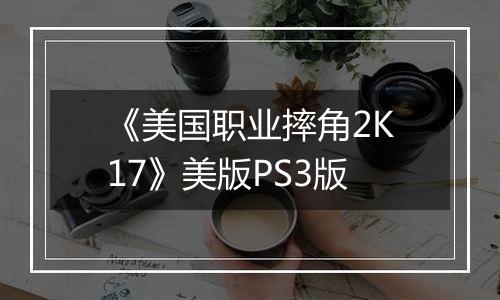 《美国职业摔角2K17》美版PS3版