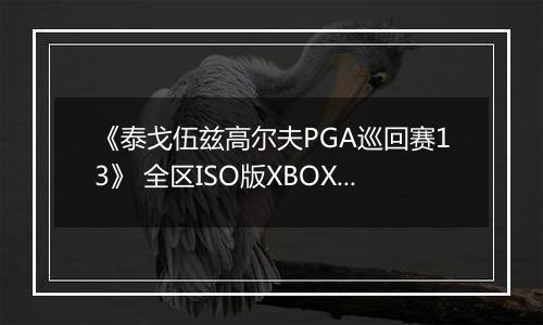 《泰戈伍兹高尔夫PGA巡回赛13》 全区ISO版XBOX360版