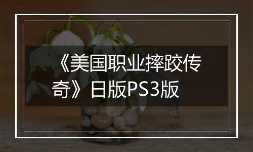 《美国职业摔跤传奇》日版PS3版