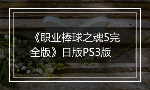 《职业棒球之魂5完全版》日版PS3版