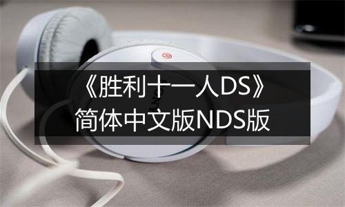 《胜利十一人DS》简体中文版NDS版最新版