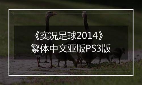 《实况足球2014》繁体中文亚版PS3版