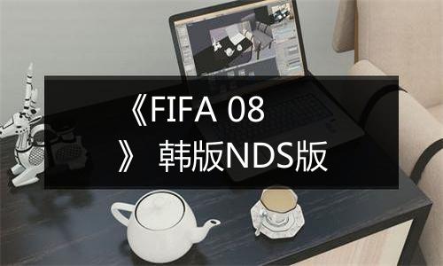 《FIFA 08》 韩版NDS版最新版
