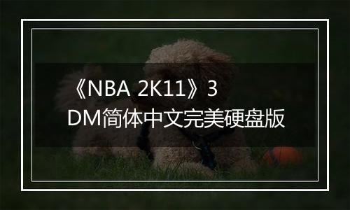 《NBA 2K11》3DM简体中文完美硬盘版