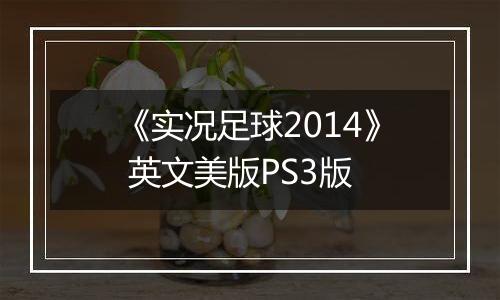 《实况足球2014》 英文美版PS3版