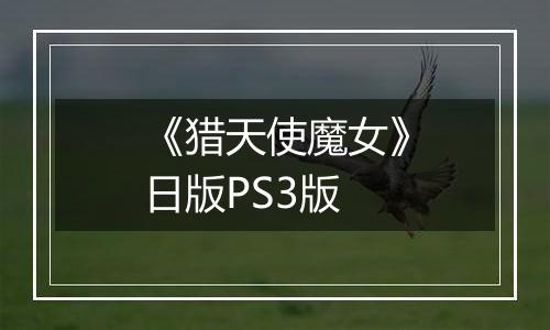 《猎天使魔女》日版PS3版