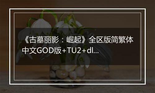 《古墓丽影：崛起》全区版简繁体中文GOD版+TU2+dlcXBOX360版
