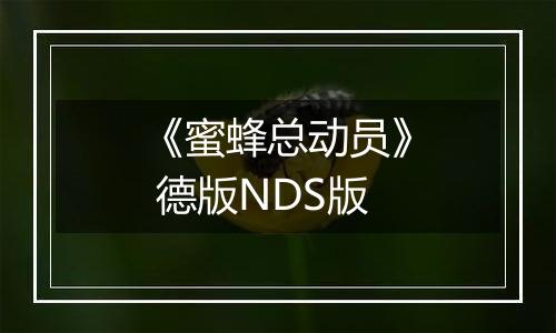 《蜜蜂总动员》 德版NDS版