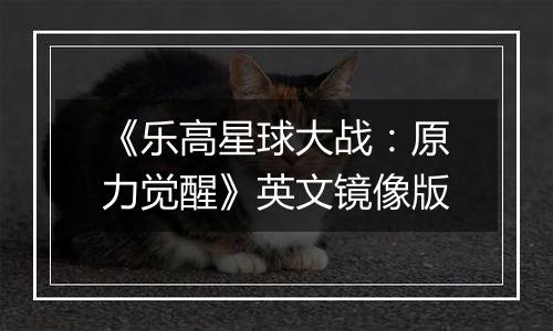 《乐高星球大战：原力觉醒》英文镜像版