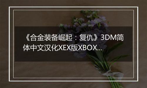 《合金装备崛起：复仇》3DM简体中文汉化XEX版XBOX360版