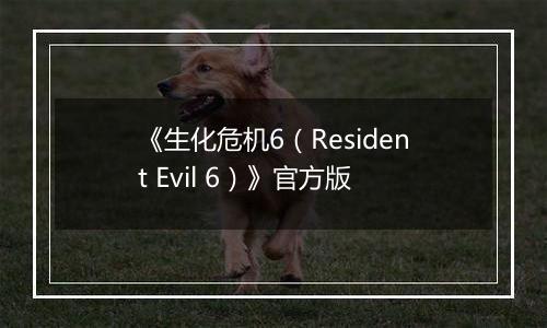 《生化危机6（Resident Evil 6）》官方版