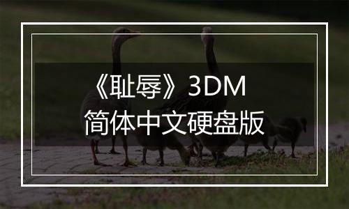 《耻辱》3DM简体中文硬盘版