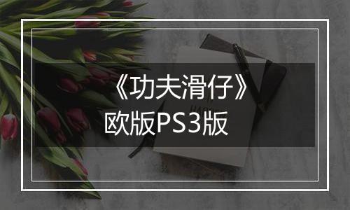 《功夫滑仔》欧版PS3版