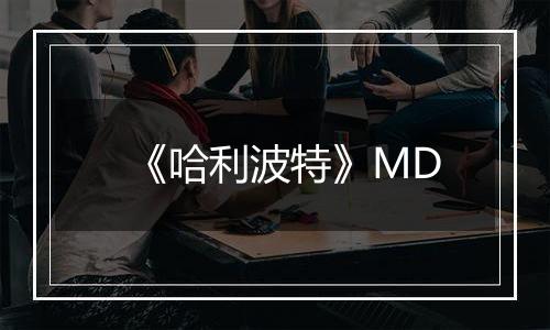 《哈利波特》MD
