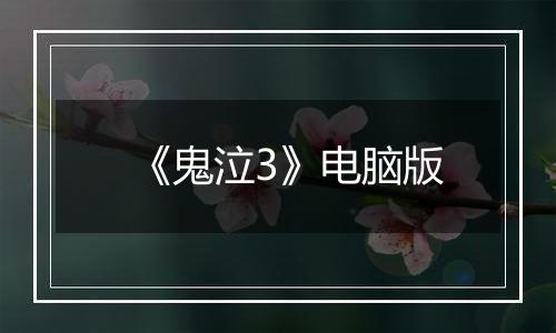 《鬼泣3》电脑版