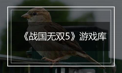 《战国无双5》游戏库