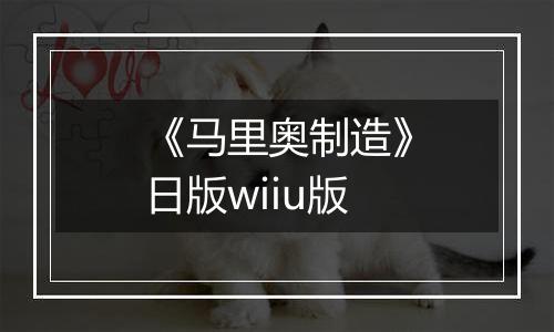 《马里奥制造》日版wiiu版