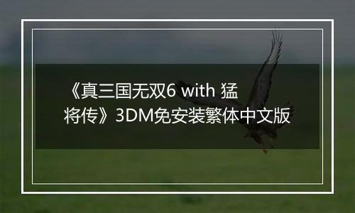 《真三国无双6 with 猛将传》3DM免安装繁体中文版