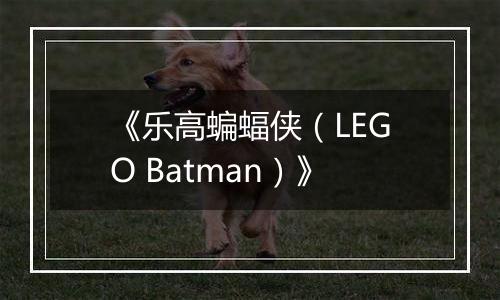 《乐高蝙蝠侠（LEGO Batman）》