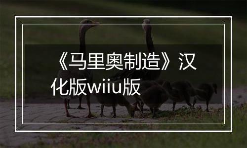 《马里奥制造》汉化版wiiu版