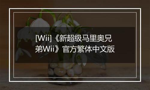 [Wii]《新超级马里奥兄弟Wii》官方繁体中文版