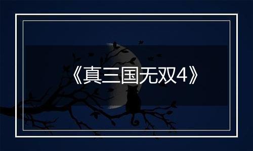 《真三国无双4》