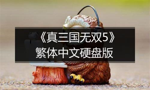 《真三国无双5》繁体中文硬盘版