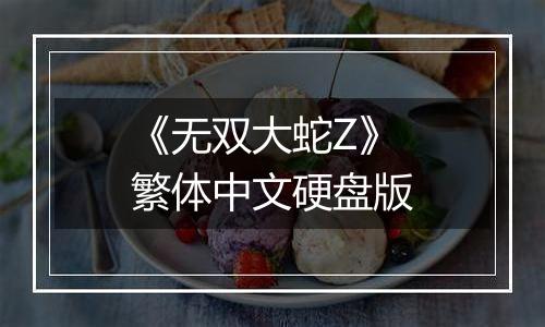 《无双大蛇Z》繁体中文硬盘版