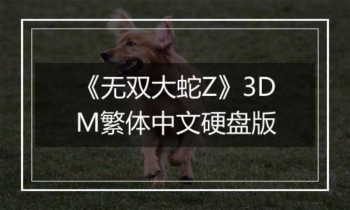 《无双大蛇Z》3DM繁体中文硬盘版