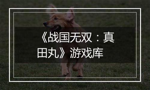 《战国无双：真田丸》游戏库最新版