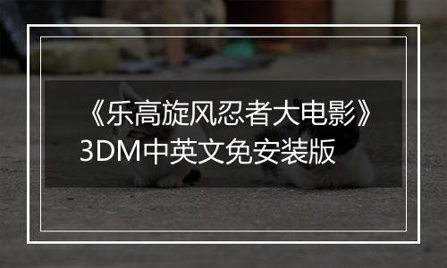 《乐高旋风忍者大电影》3DM中英文免安装版