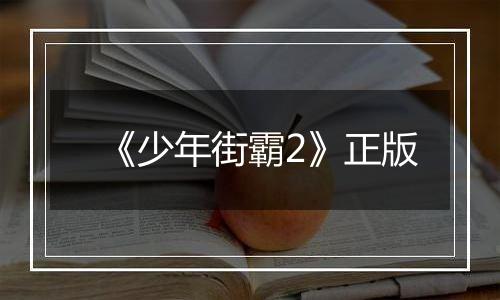 《少年街霸2》正版