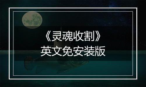 《灵魂收割》英文免安装版