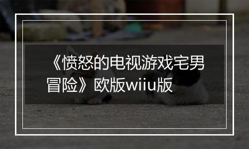 《愤怒的电视游戏宅男冒险》欧版wiiu版