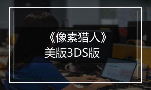 《像素猎人》美版3DS版