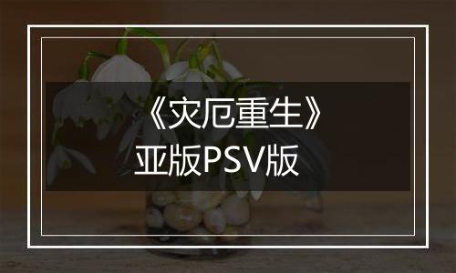 《灾厄重生》亚版PSV版