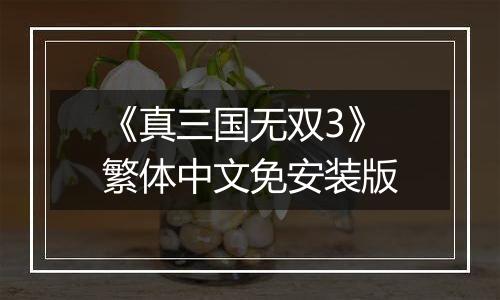 《真三国无双3》繁体中文免安装版