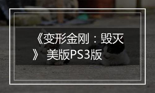 《变形金刚：毁灭》 美版PS3版