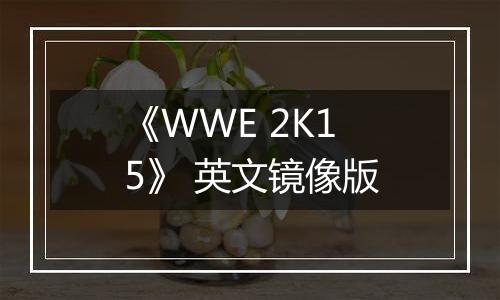 《WWE 2K15》 英文镜像版